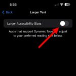Screenshot of the toggle button for Large Text in iPhone settings.
